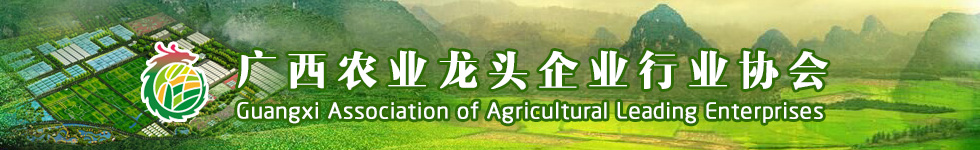 广西农业龙头企业行业协会