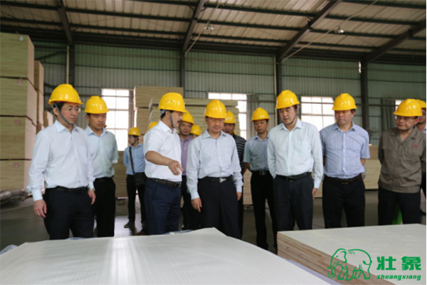 自治区副主席唐仁健等领导在该公司生产车间了解香杉生态板工艺技术